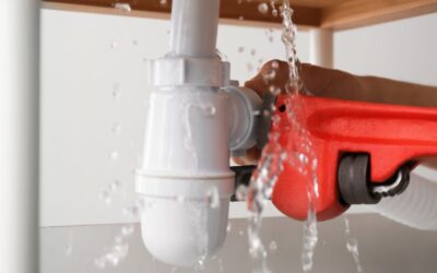 5 Signs You Need a Plumber for Leak Fixes Right Away