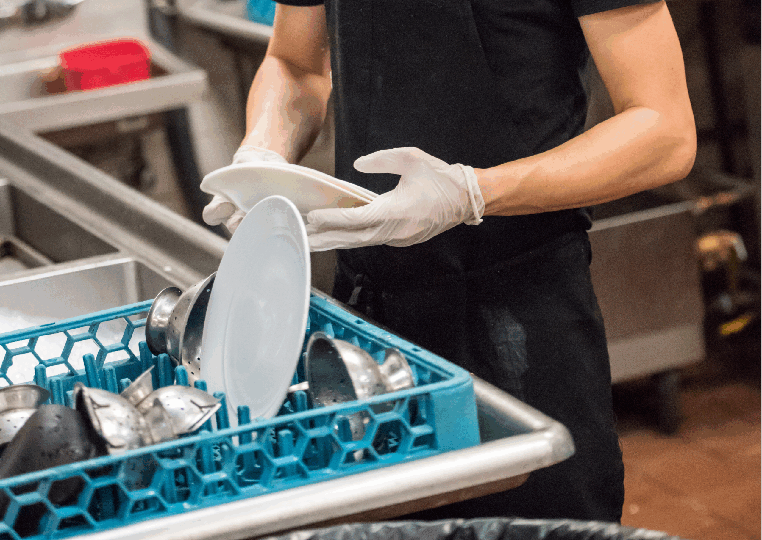 Dishwasher Hookup and Relocation technician performing water heater repairs to ensure optimal performance and prevent future issues